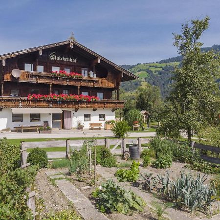 Anna Maria Apartment Hopfgarten im Brixental Bagian luar foto
